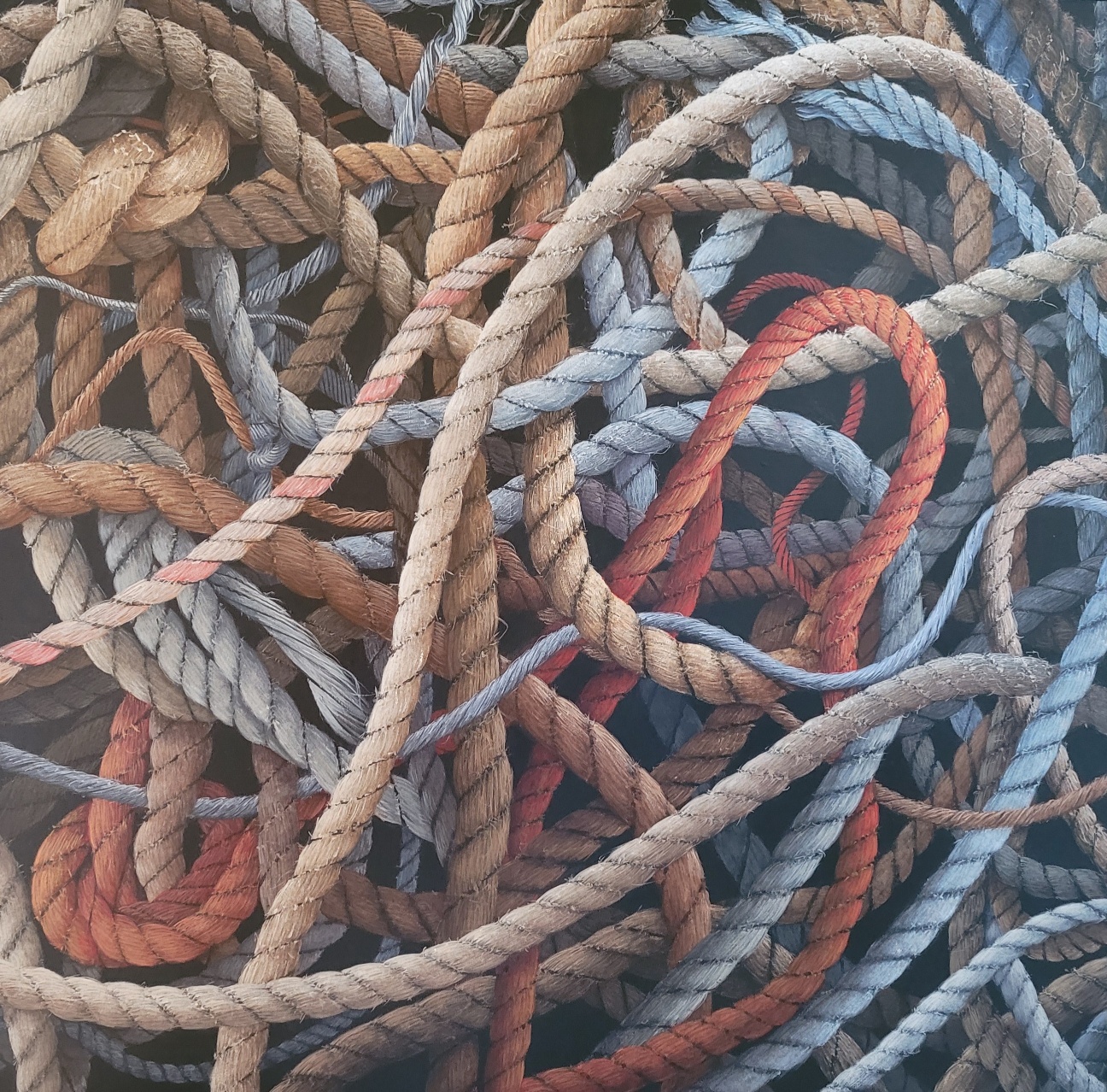 20230311 155613 Resized